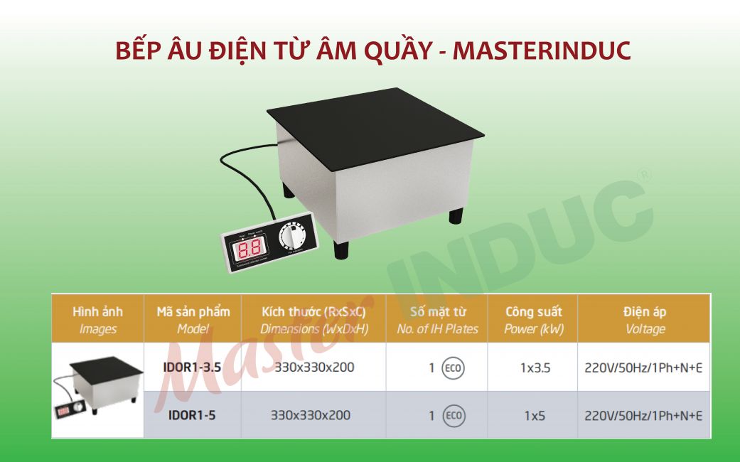 Bếp Âu điện từ âm quầy