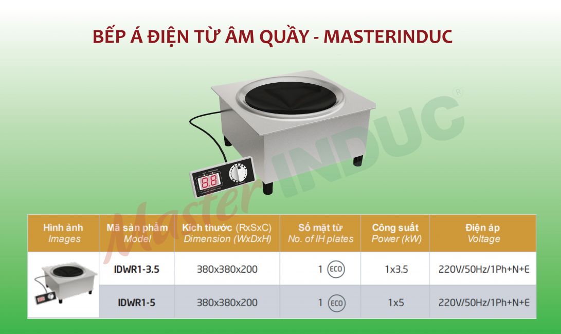 Bếp điện từ âm quầy