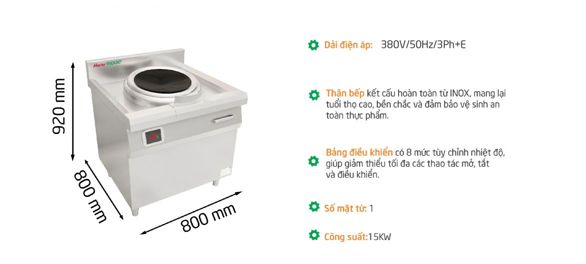 Bếp Á đơn điện từ 